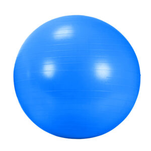 AGB 434BL Rehabilitační míč GYM BALL 65 cm